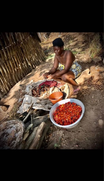 FamU Foundation Policy & Advocacy Program - Community organizing and advocacy